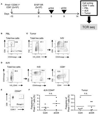 TCR Repertoire Analysis Reveals Mobilization of Novel CD8+ T Cell Clones Into the Cancer-Immunity Cycle Following Anti-CD4 Antibody Administration